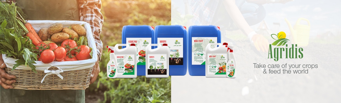 web_banner_agri discompressed