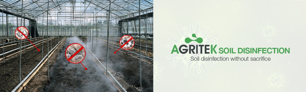 web_banner_soil disi 11compressed